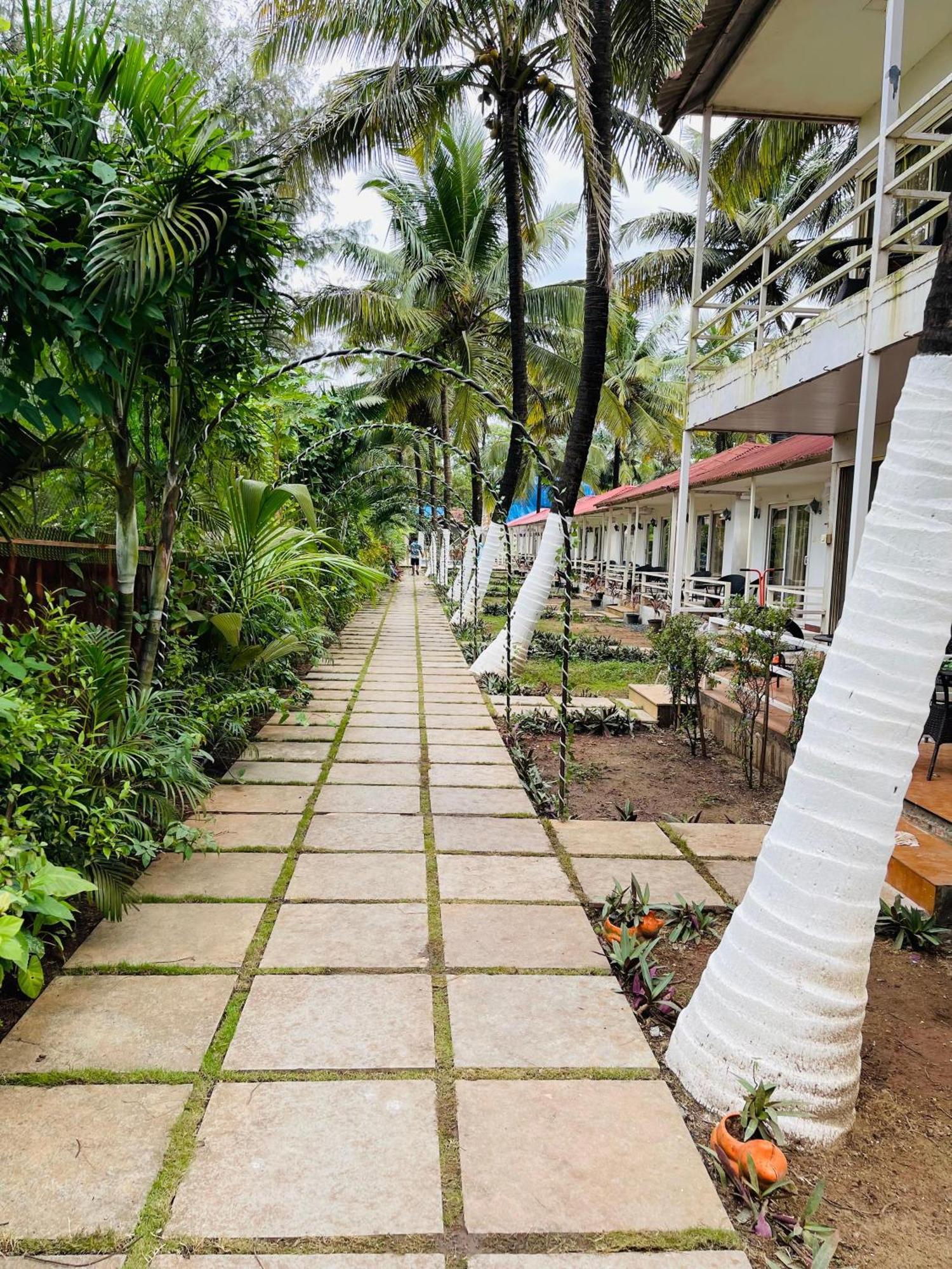 Arabian Sea Beach Resort Morjim Exterior foto
